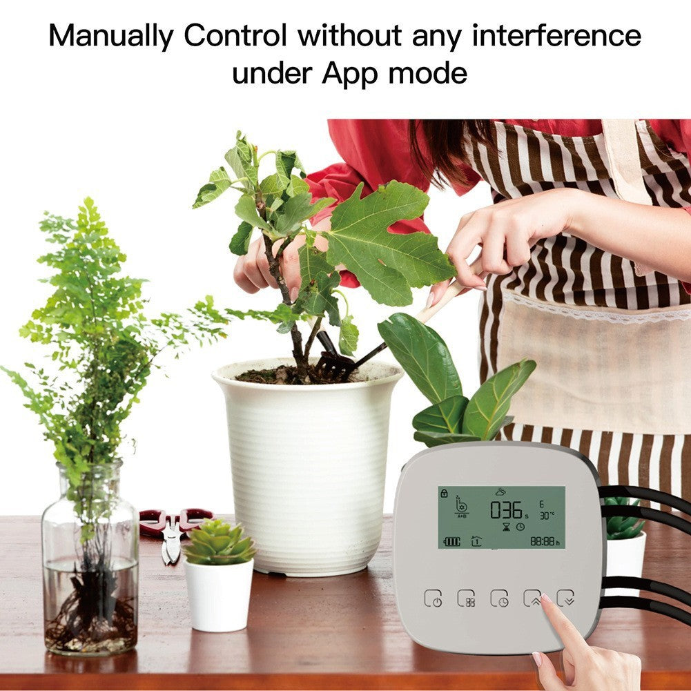 Minuteur d'arrosage rechargeable Graffiti Smart Home