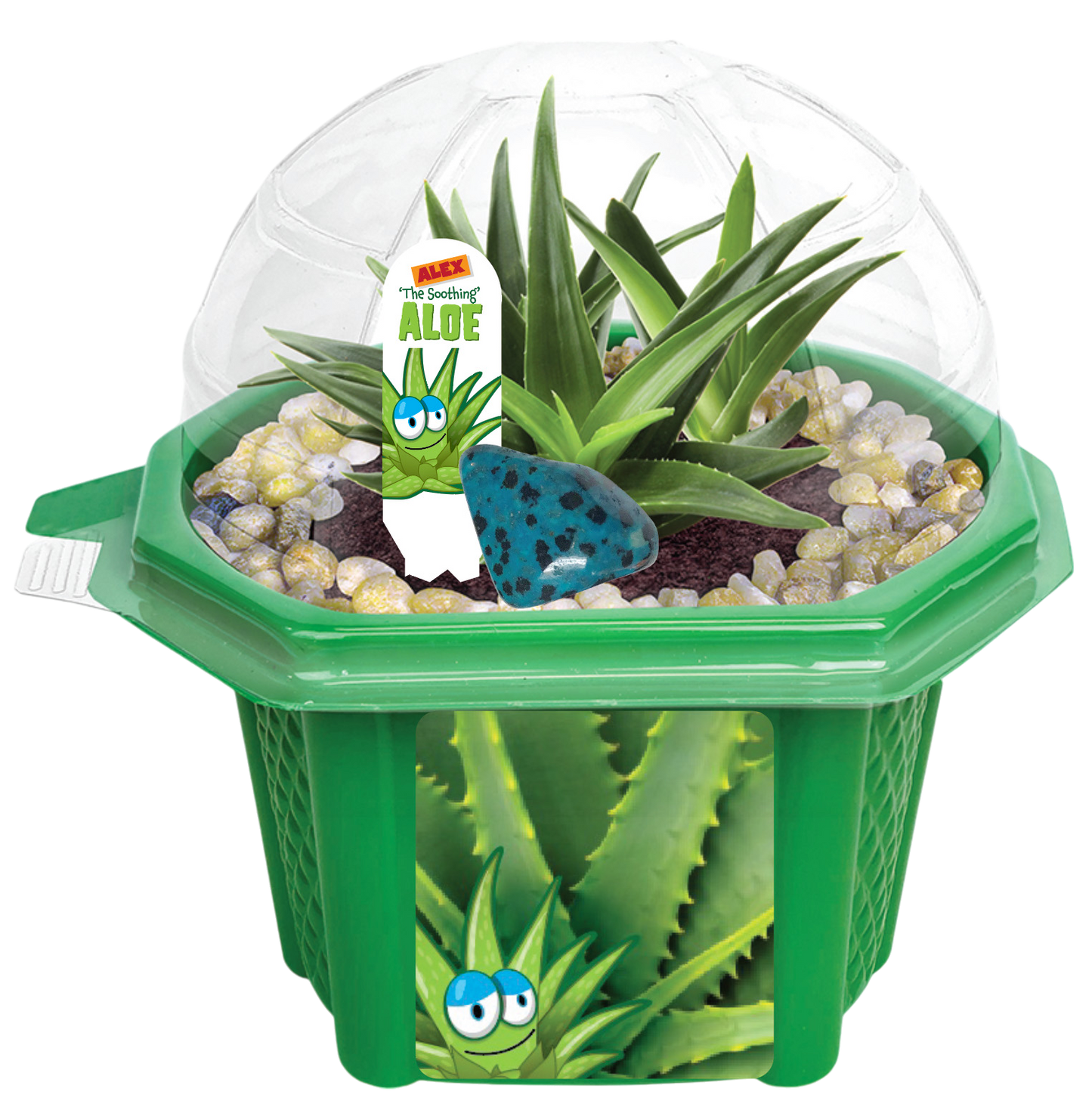 'The Soothing' Aloe Micro Dome Terrarium