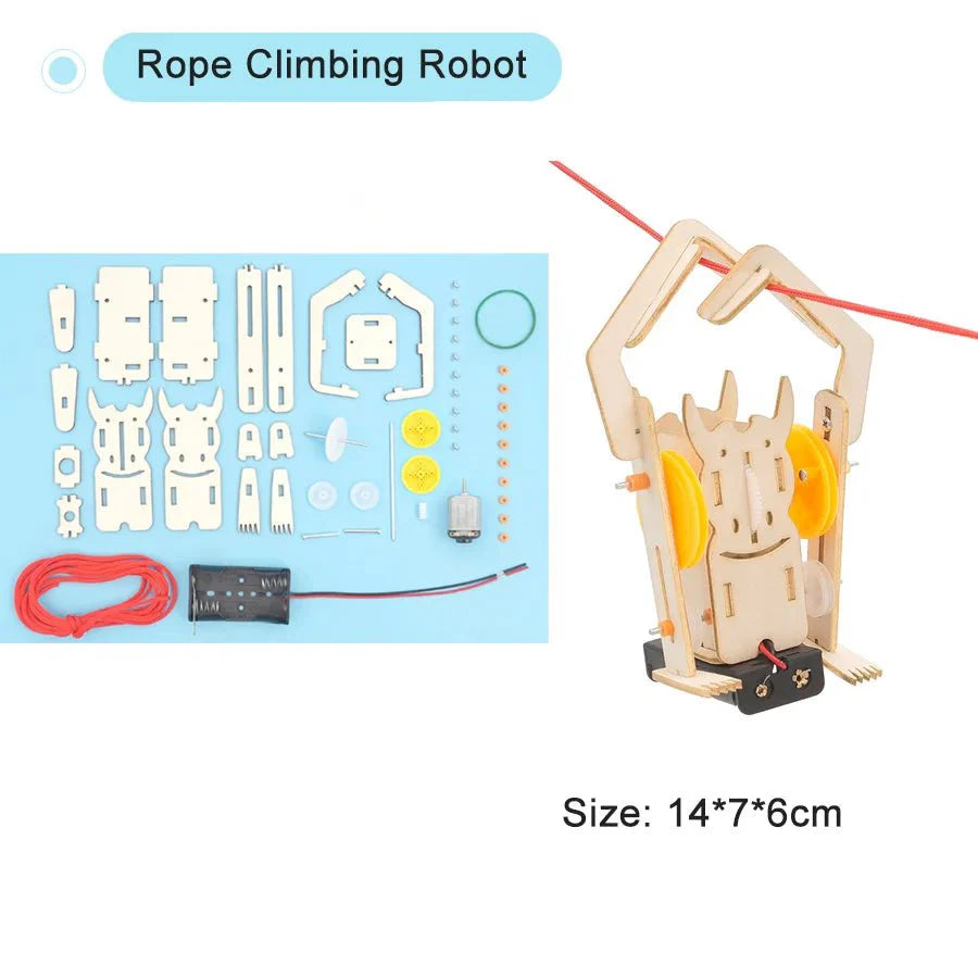 Kit de Experimentos Científicos de Modelo Físico DIY – Juguete Educativo STEM