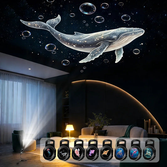 ZENVY LED & Ambient Lighting 2026