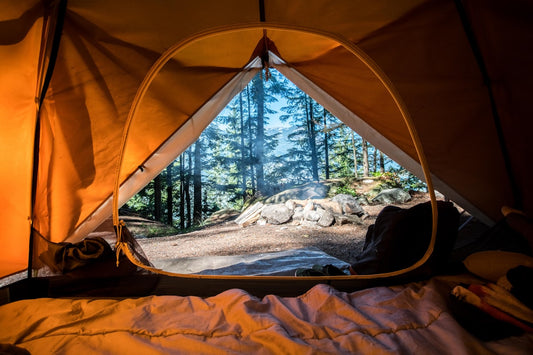 ZENVY Outdoor – Camping, Survival Gear & Adventure Equipment 2026