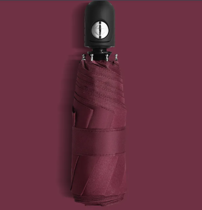 RainSun Auto Compact Umbrella