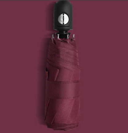 RainSun Auto Compact Umbrella