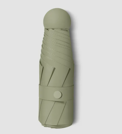 RainSun Auto Compact Umbrella