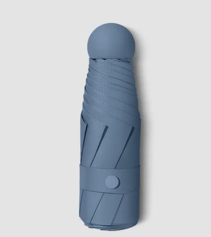 RainSun Auto Compact Umbrella