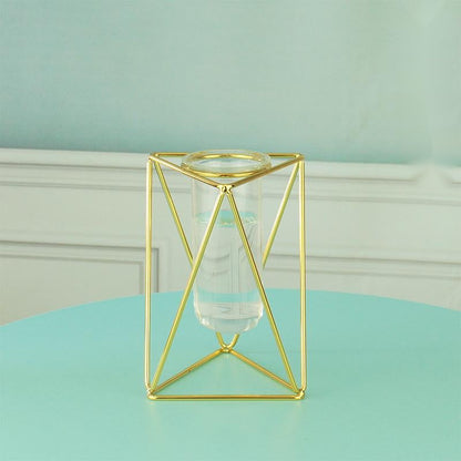Hydroponic Glass Vase