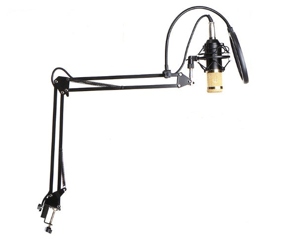 Ensemble microphone BM800