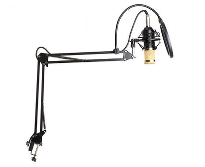 Ensemble microphone BM800