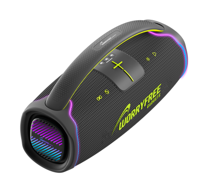 300W Portable Bluetooth Speaker with Handle, One Microphone