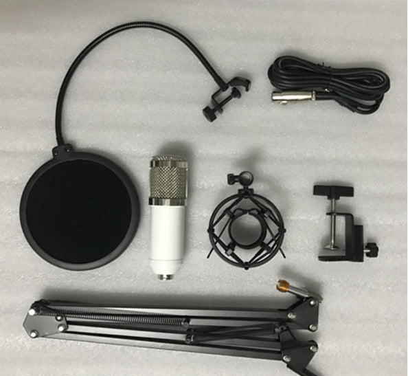 Ensemble microphone BM800
