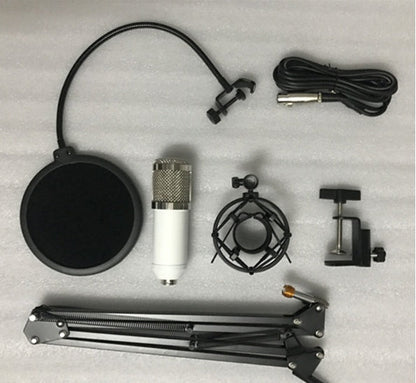 Ensemble microphone BM800