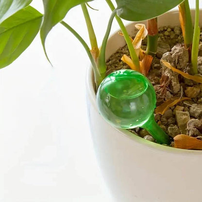 Globes d'arrosage automatique – 5 dispositifs d'arrosage automatique pour plantes d'intérieur et d'extérieur