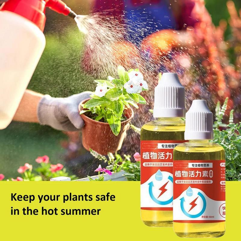 Plant Vitamins – Universal Daily Wellness Formula