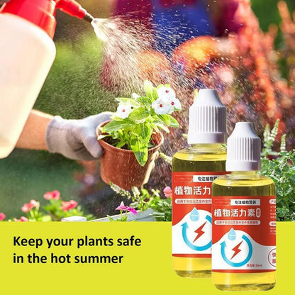 Plant Vitamins – Universal Daily Wellness Formula