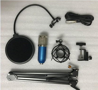 Ensemble microphone BM800