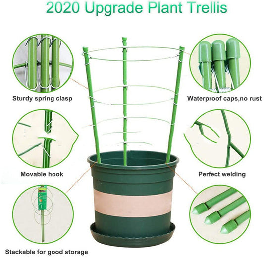 Kit de support pour plantes - Cage à tomates pour plantes grimpantes