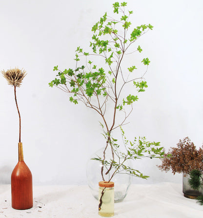 Japanese Bell Horse Drunk Wood Nantian Bamboo Nordic Style Simple Thin Mouth Big Belly Bottle Vase Transparent Indoor Flower Arranging Device