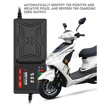 48V20AH Electric Vehicle Charger