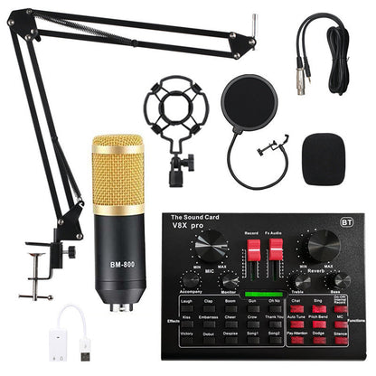 Ensemble de microphone à condensateur d'enregistrement
