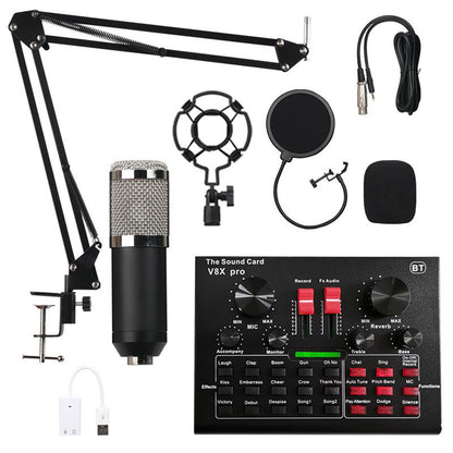 Ensemble de microphone à condensateur d'enregistrement