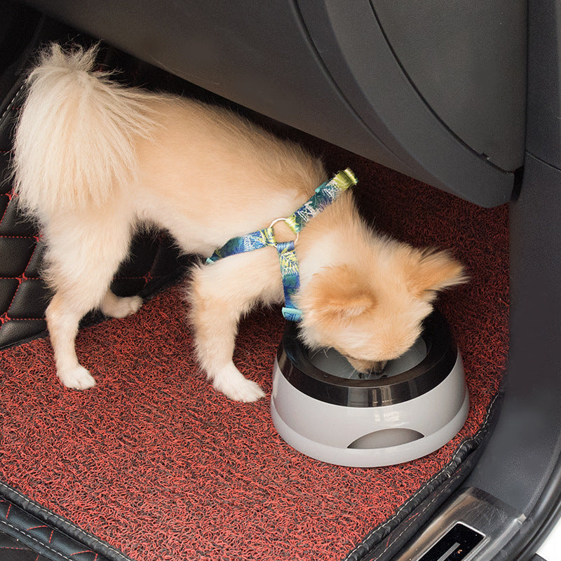 Gamelle de voyage anti-dérapante anti-éclaboussures pour chien, sans mouiller le museau, accessoires pour animaux de compagnie