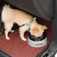 Gamelle de voyage anti-dérapante anti-éclaboussures pour chien, sans mouiller le museau, accessoires pour animaux de compagnie