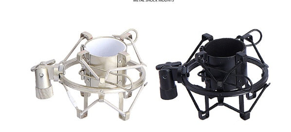 Ensemble microphone BM800