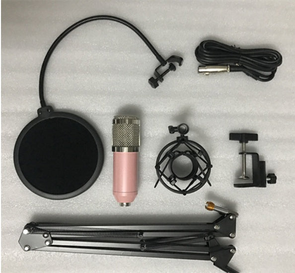 Ensemble microphone BM800