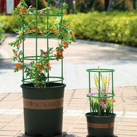 Supports de plantes simples – Parfaits pour les fleurs, les fruits et les légumes !