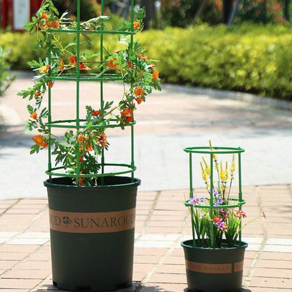 Supports de plantes simples – Parfaits pour les fleurs, les fruits et les légumes !