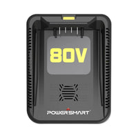 80V Battery Charger DB2208 (Battery Not Included)