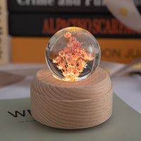 Crystal Ball Music Box Electronics
