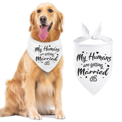 Wedding Dog Scarf