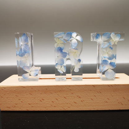 Dried Flower English Alphabet Night Light Base Table