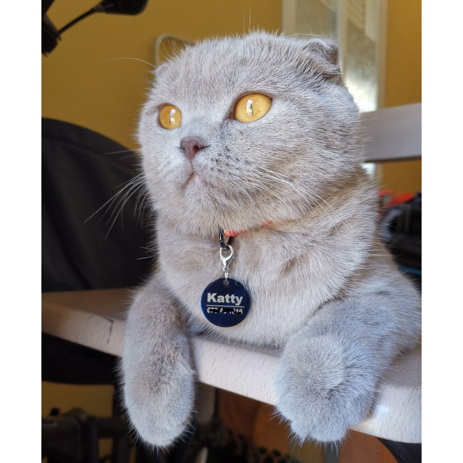 Colgante Personalizado Grabado con Etiqueta de Identificación para Perro y Gato