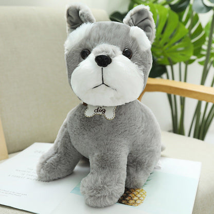 Nari Doll Ragdoll Children's Birthday Gift
