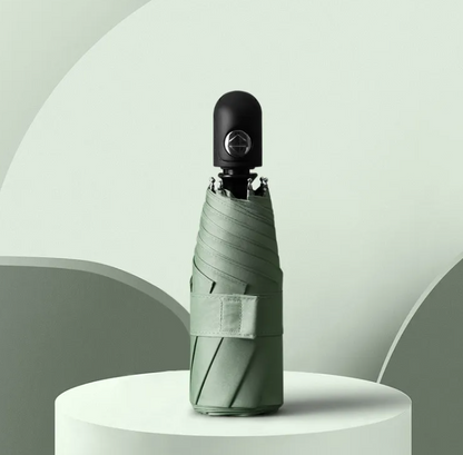 RainSun Auto Compact Umbrella