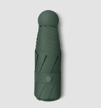 RainSun Auto Compact Umbrella