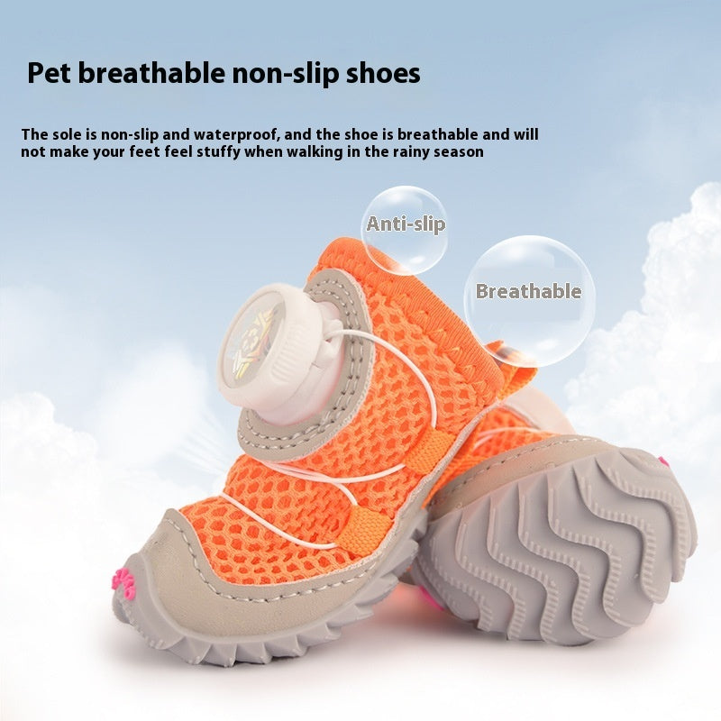 Chaussures pour chien, chaussures pour chien, fond souple, fin, petit chien, chaussures pour chien