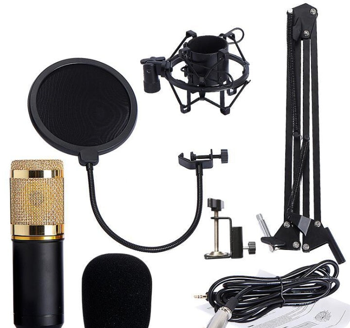 Ensemble microphone BM800