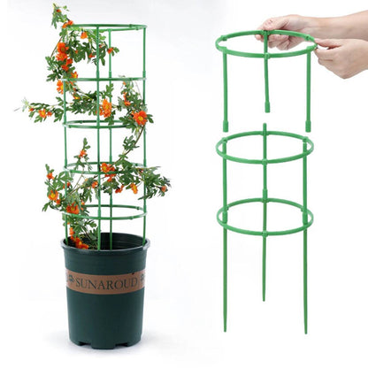 Supports de plantes simples – Parfaits pour les fleurs, les fruits et les légumes !