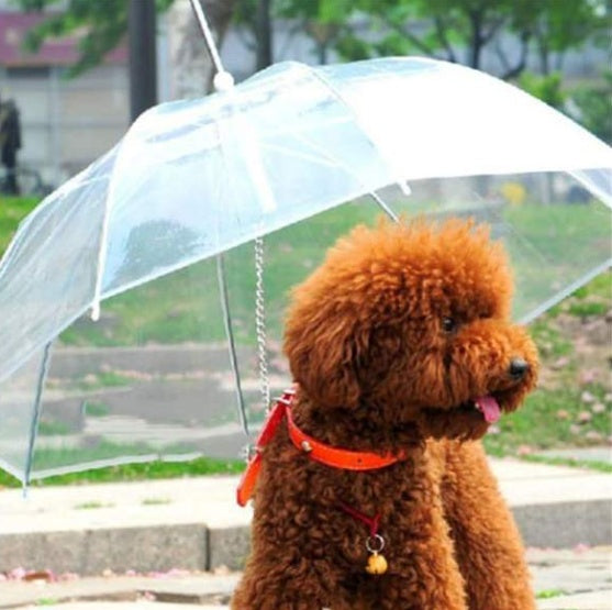 Paraguas prémium para perros