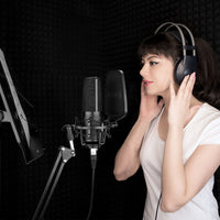 Capacitive Microphone Large Diaphragm K Song Computer Mobile Phone Recording Microphone