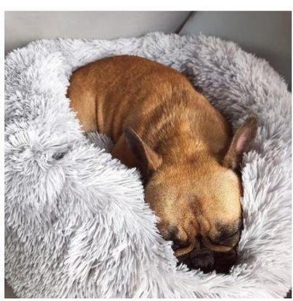 Bon lit pour animaux de compagnie avec boîte personnalisée