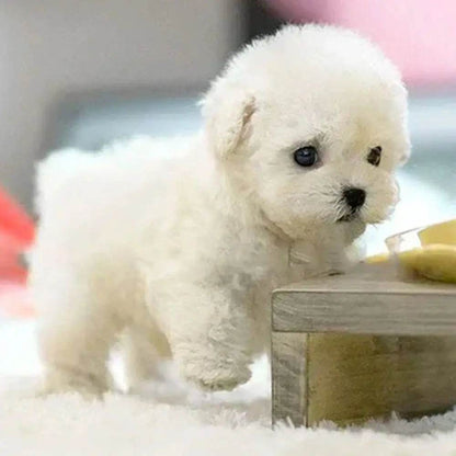 The Lifelike Robotic Puppy Pal