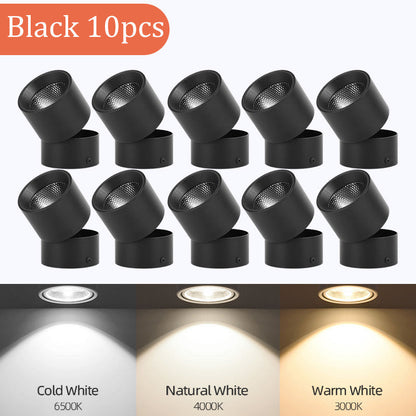 LED Downlight Spotlights Are Open Mounted And Foldable