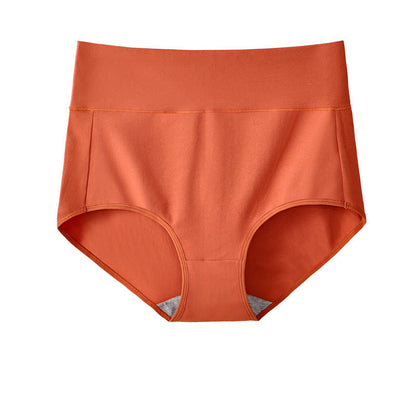 High Waist Briefs Plus Size Fat