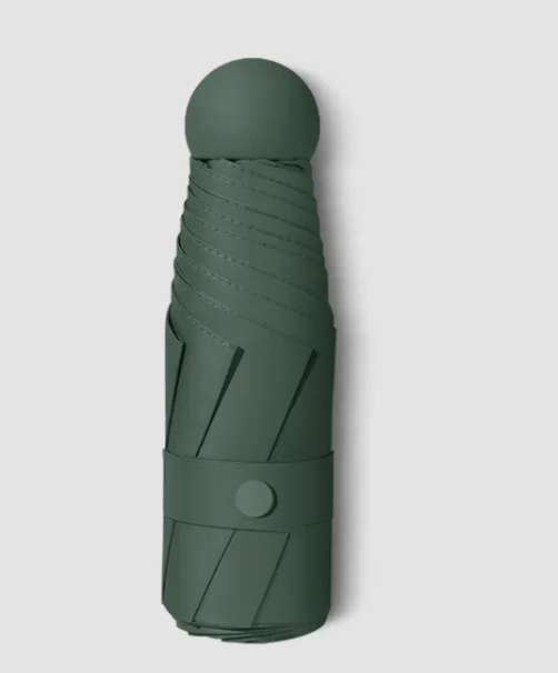 RainSun Auto Compact Umbrella