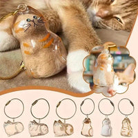 Cat Fur Memorial Keychain Transparent Pet Hair Keepsake Pendant