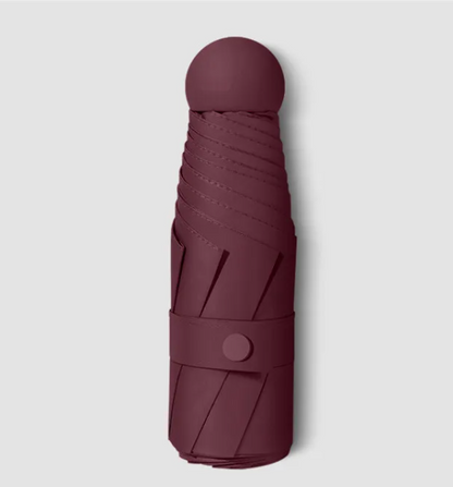 RainSun Auto Compact Umbrella